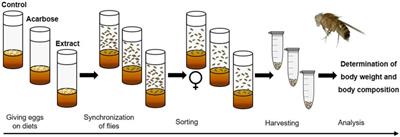 A comprehensive in-vitro/in-vivo screening toolbox for the elucidation of glucose homeostasis modulating properties of plant extracts (from roots) and its bioactives